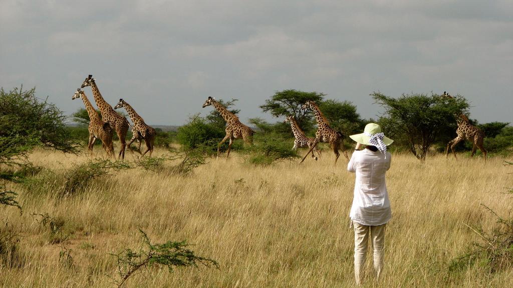 فندق Maasai Simba Camp أمبوسيلي المظهر الخارجي الصورة