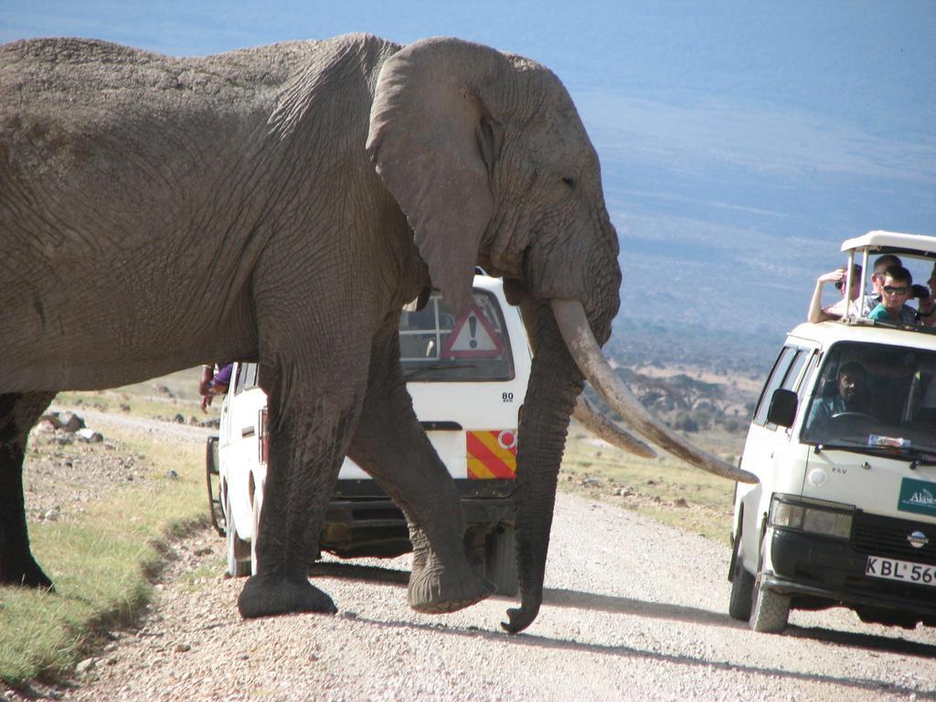 فندق Maasai Simba Camp أمبوسيلي المظهر الخارجي الصورة
